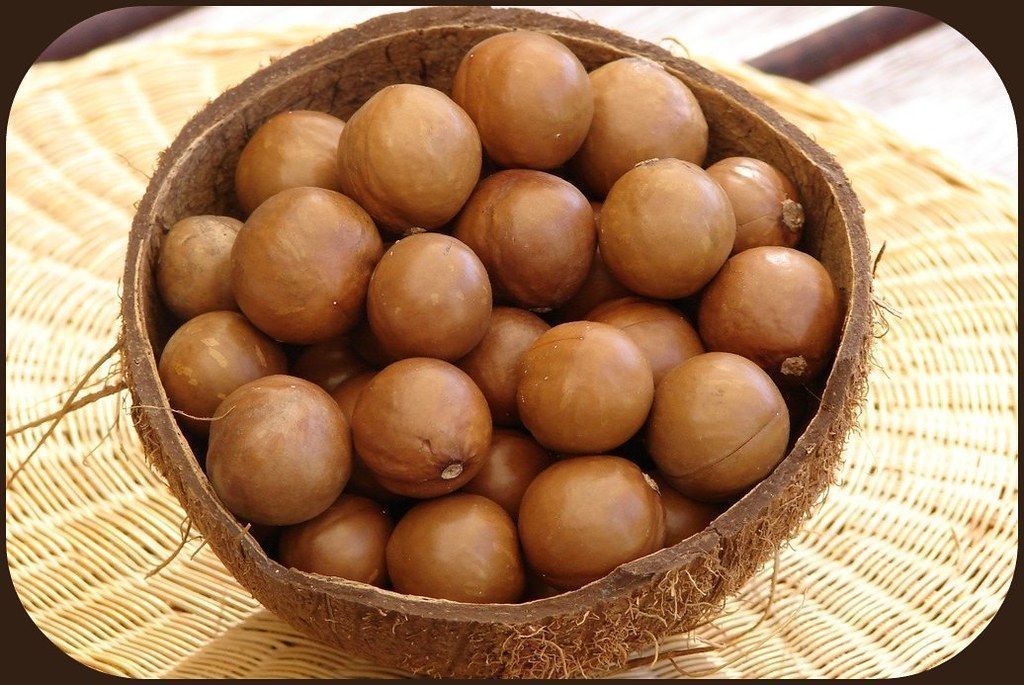 Natural botanical ingredients used in cosmetic formulation